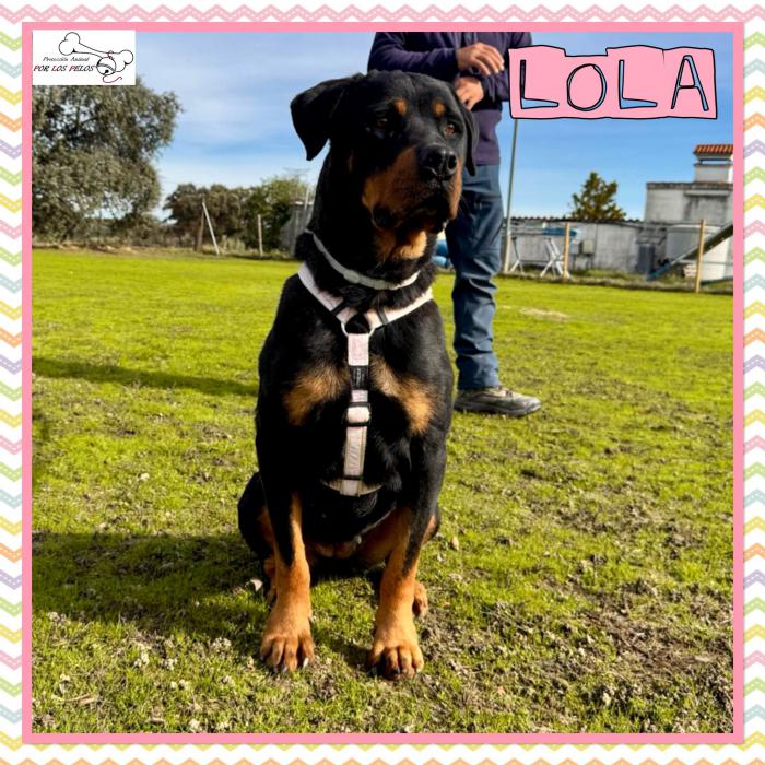 Lola