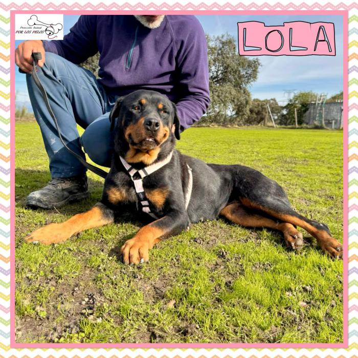 Lola