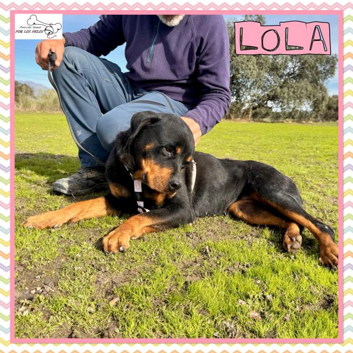 Lola