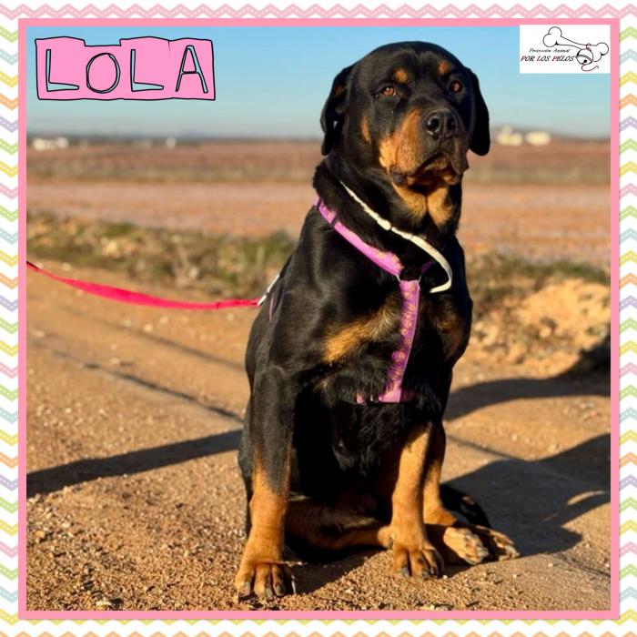 Lola