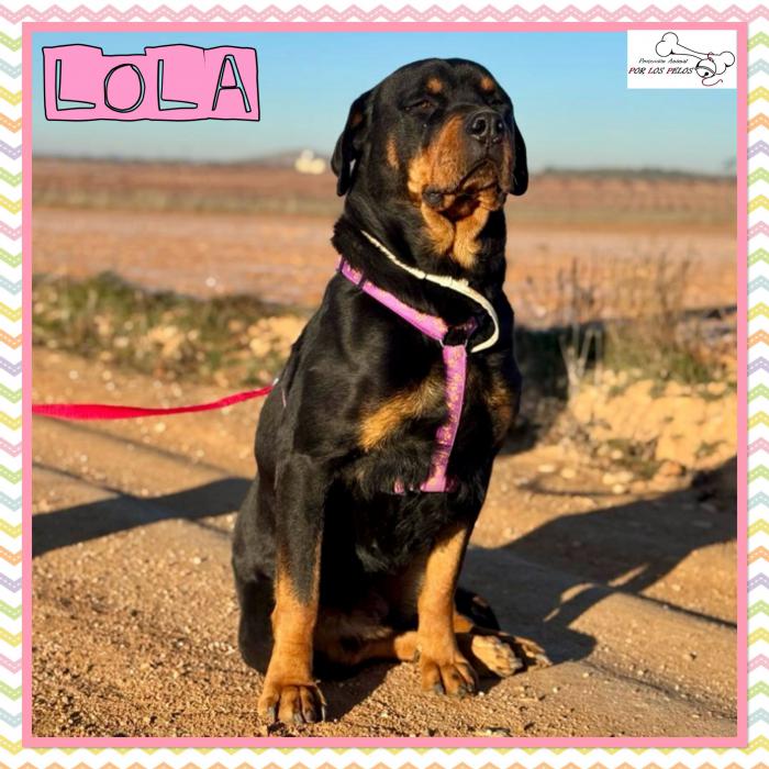 Lola