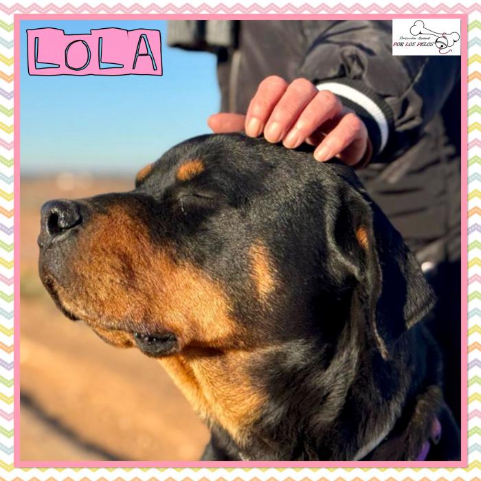 Lola