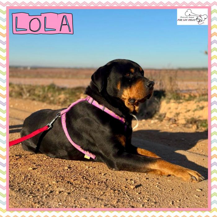 Lola