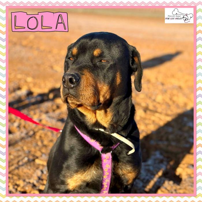 Lola