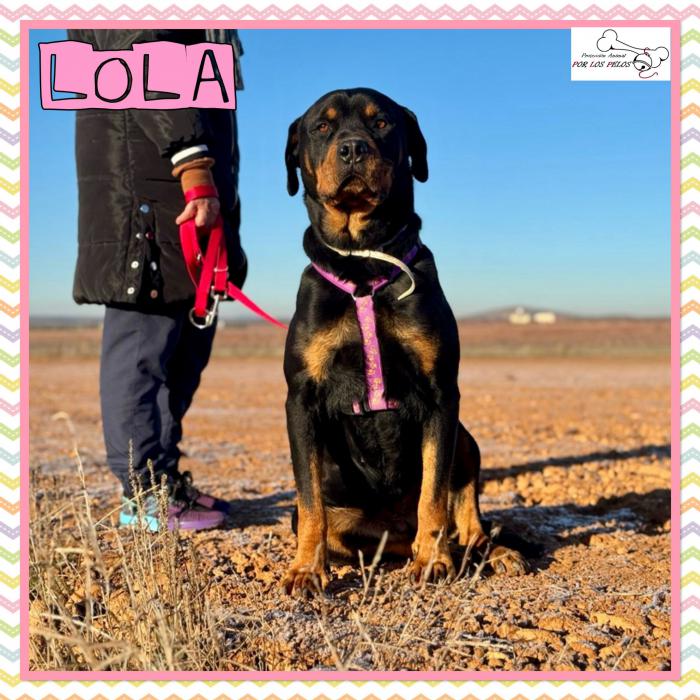 Lola