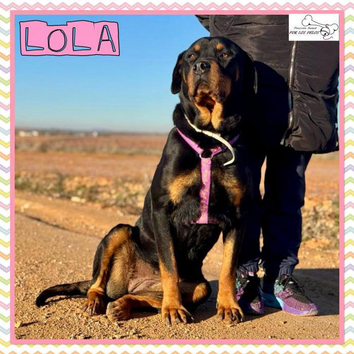 Lola