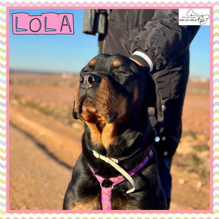Lola