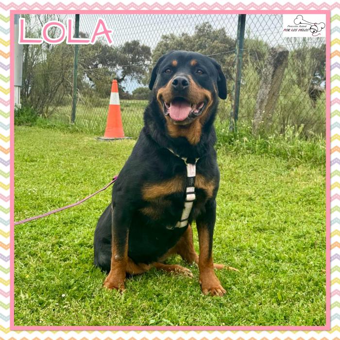 Lola