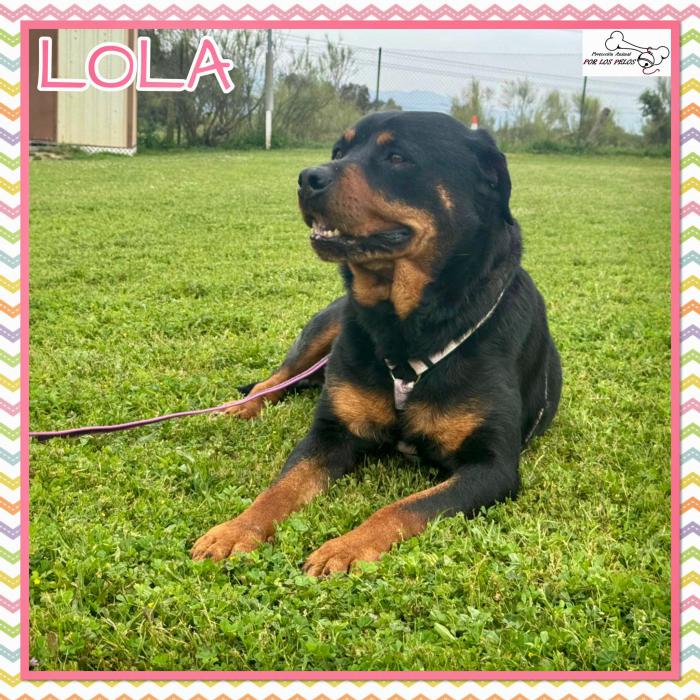 Lola