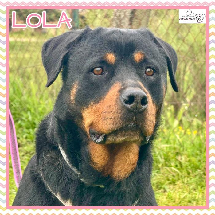 Lola