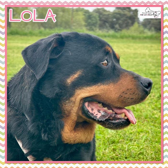 Lola