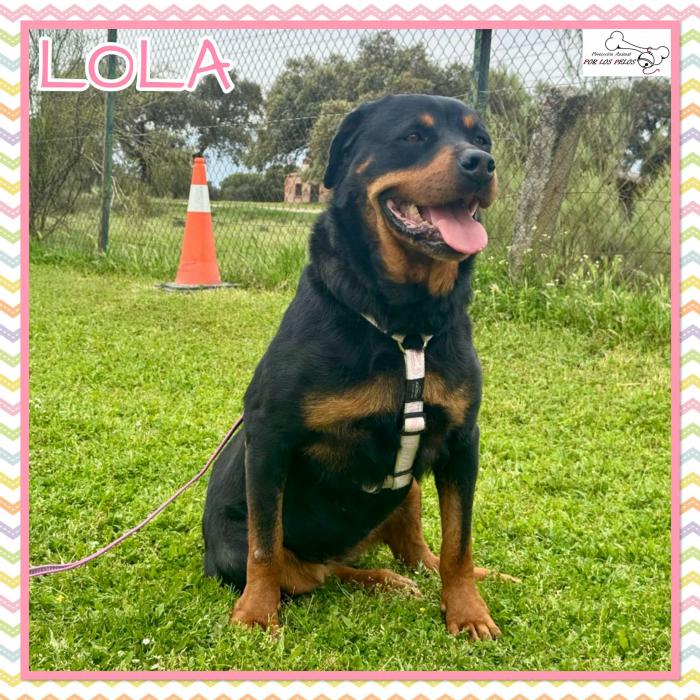 Lola