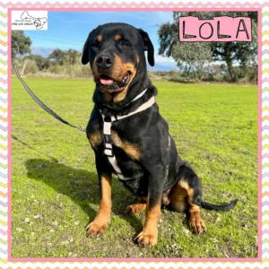 Lola