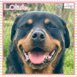 Lola