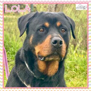 Lola