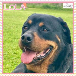 Lola
