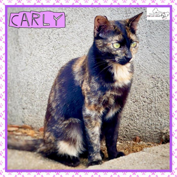 Carly