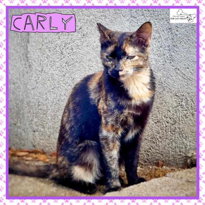 Carly