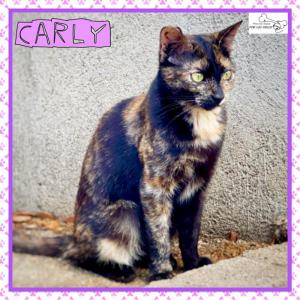 Carly