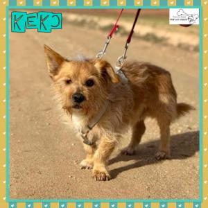 Keko