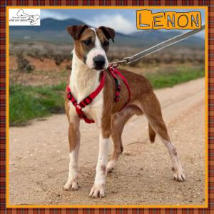 Lenon