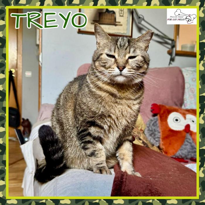 Treyo