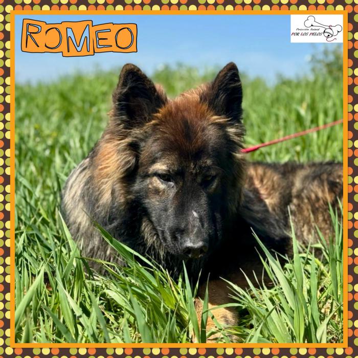 Romeo