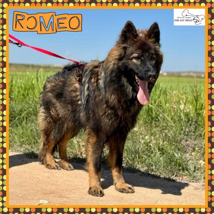 Romeo