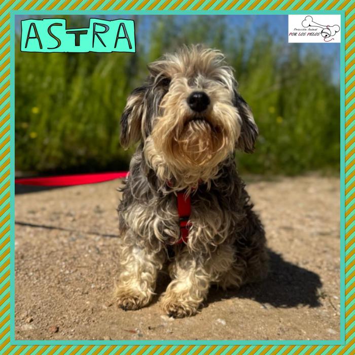 Astra