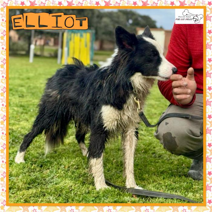 Elliot