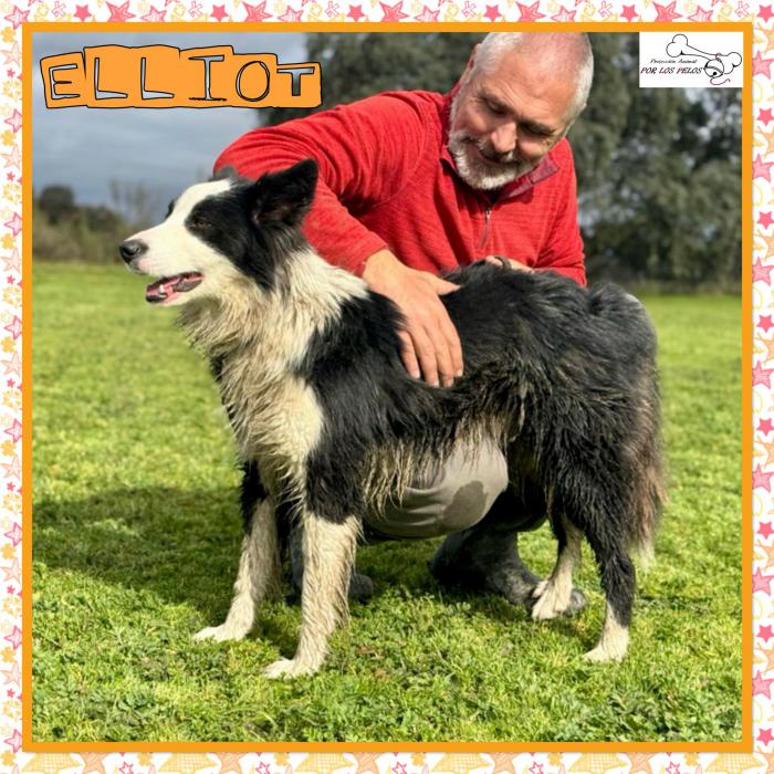 Elliot