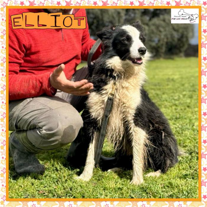 Elliot