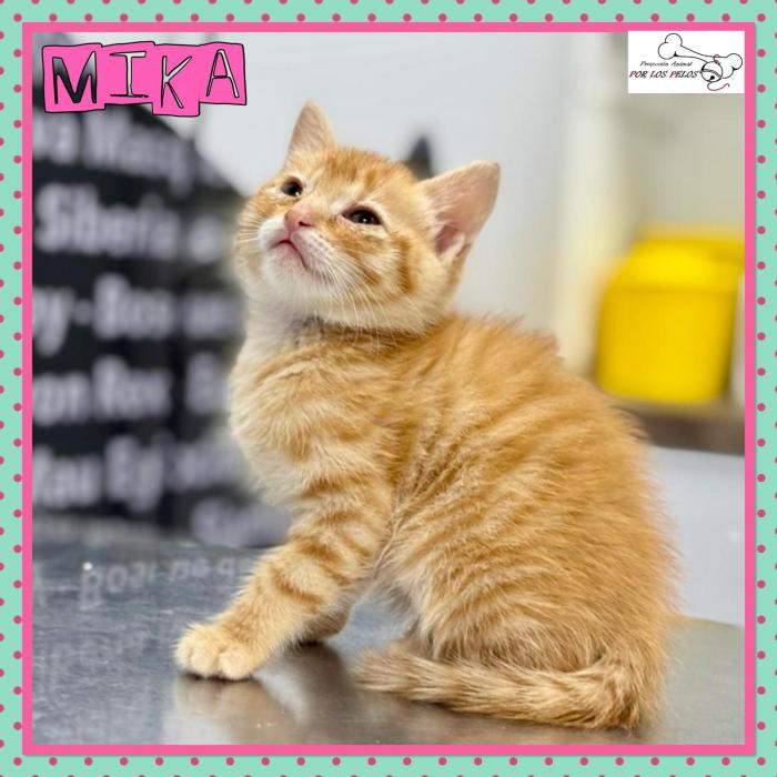 Mika