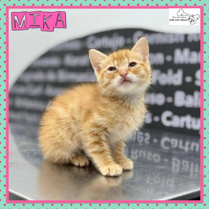 Mika
