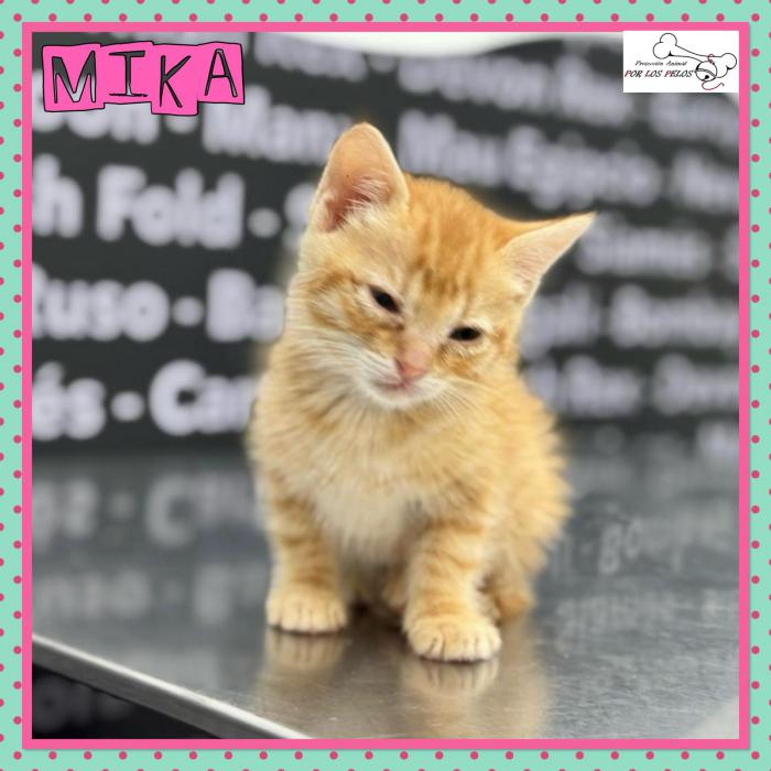 Mika