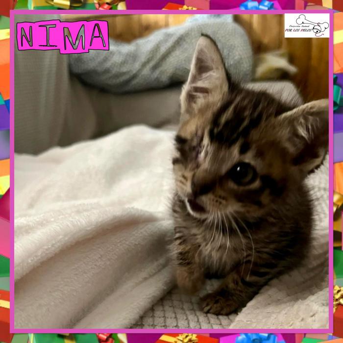 Nima