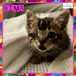 Nima