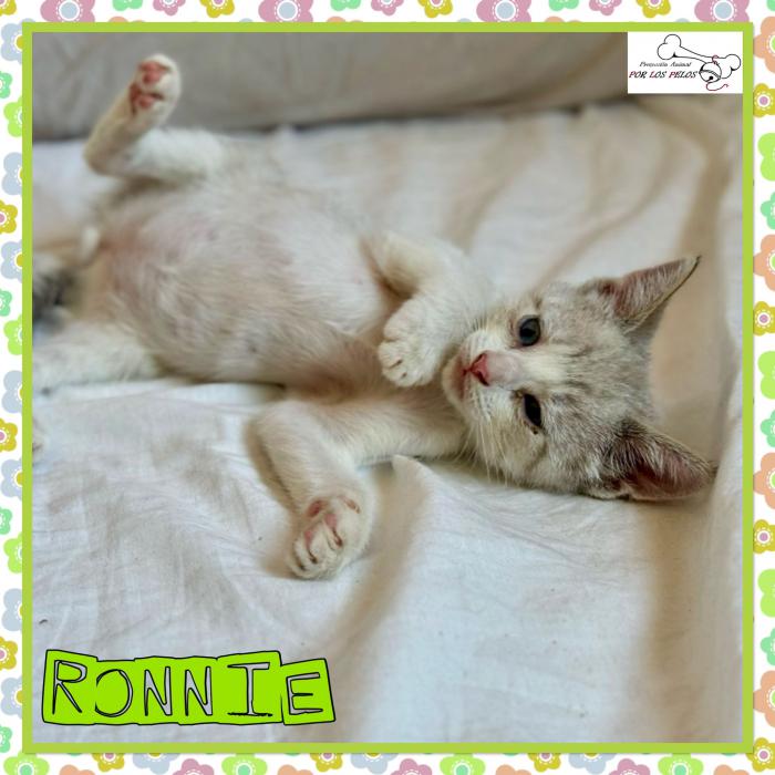 Ronnie