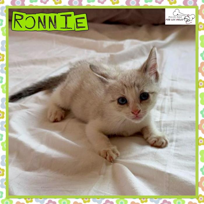 Ronnie