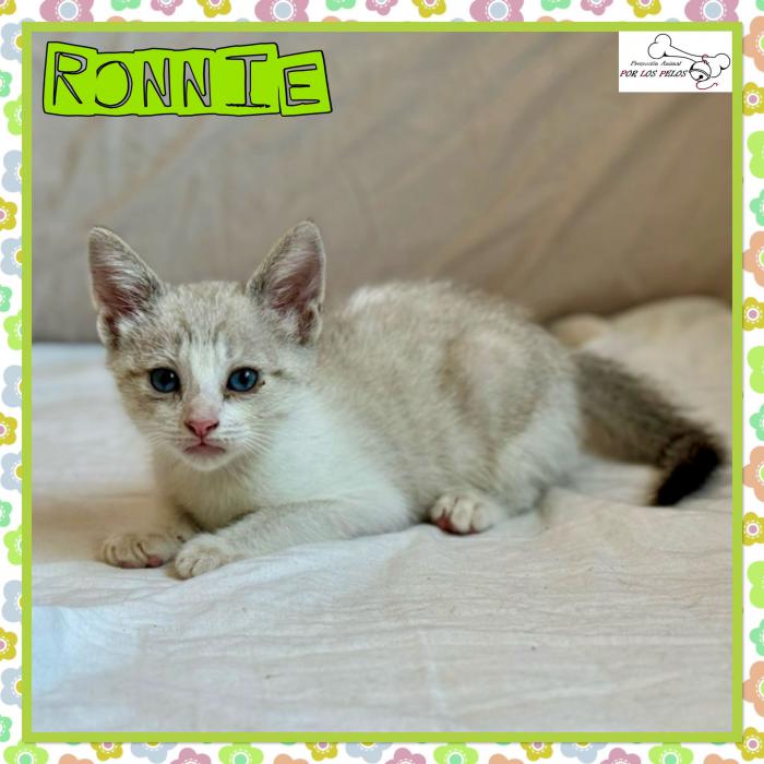 Ronnie