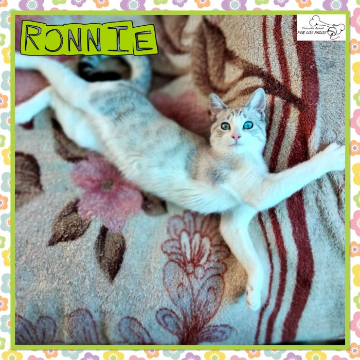 Ronnie