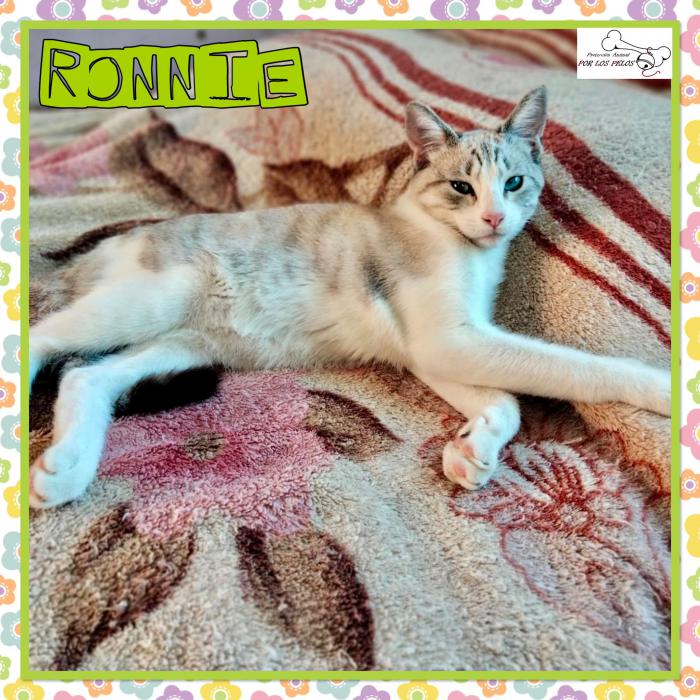 Ronnie