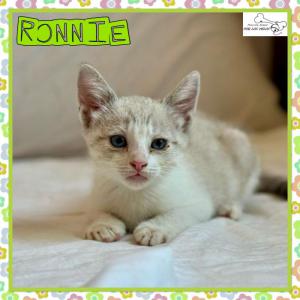 Ronnie