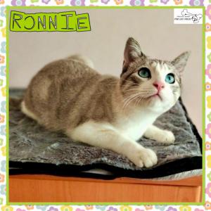 Ronnie