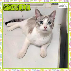 Ronnie