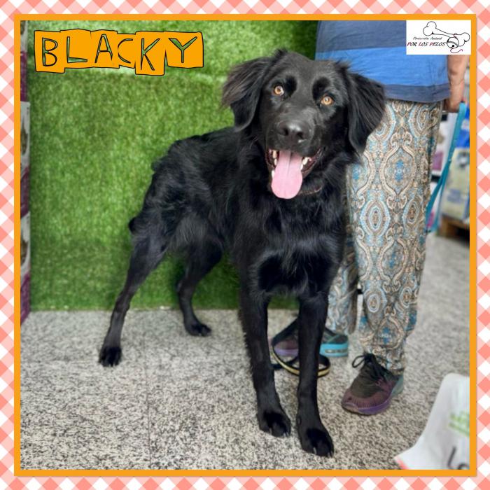 Blacky