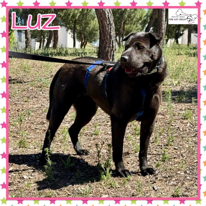 Luz
