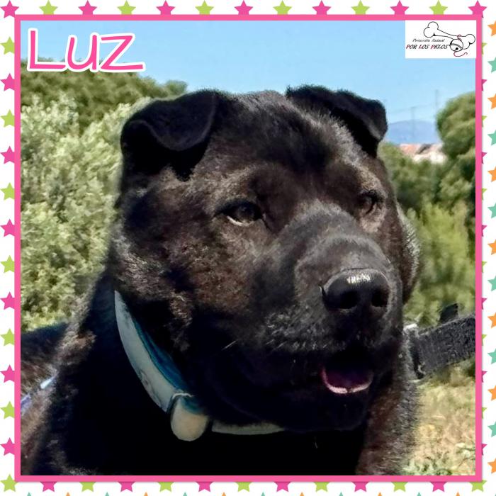 Luz