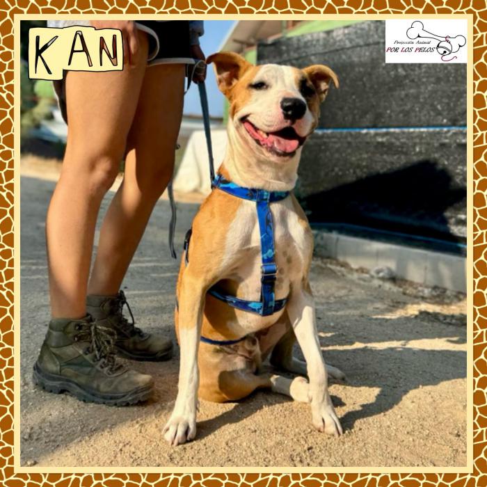 kan