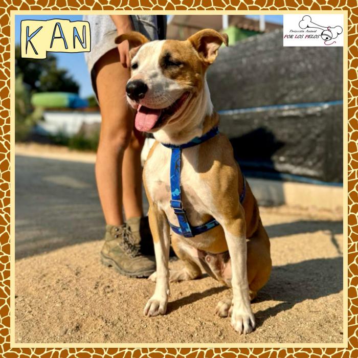 kan